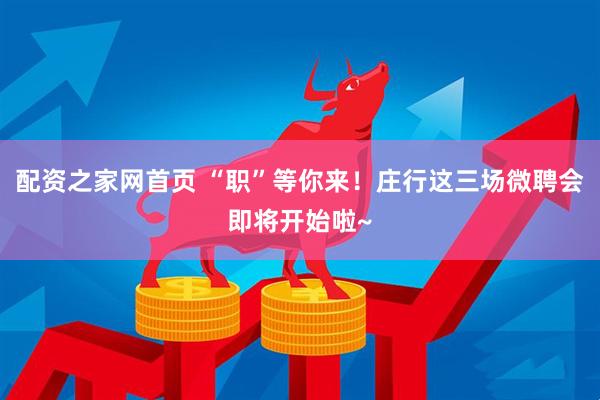 配资之家网首页 “职”等你来！庄行这三场微聘会即将开始啦~