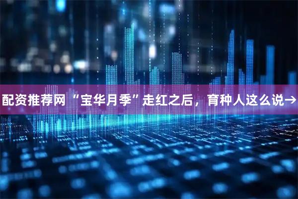 配资推荐网 “宝华月季”走红之后，育种人这么说→