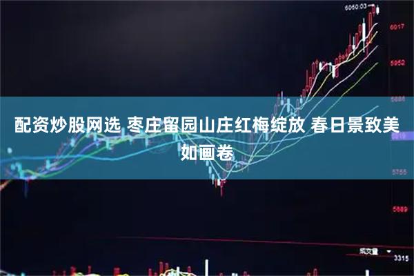 配资炒股网选 枣庄留园山庄红梅绽放 春日景致美如画卷
