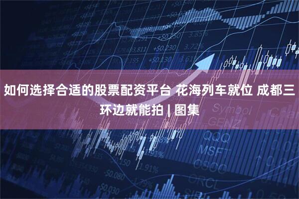 如何选择合适的股票配资平台 花海列车就位 成都三环边就能拍 | 图集